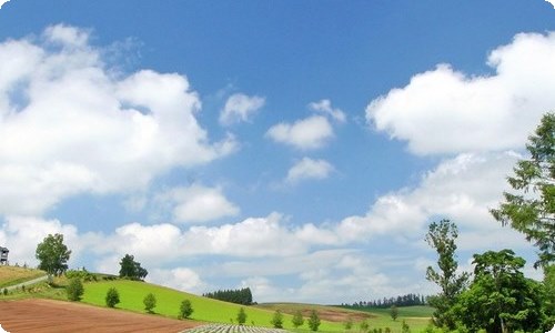 大班语言快乐的旅行教案-资源网