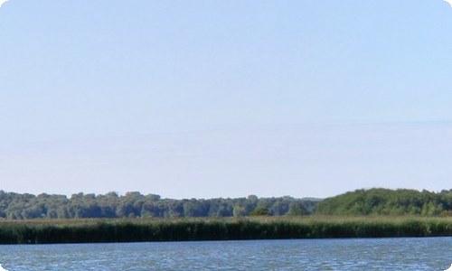 管理类实习报告-资源网