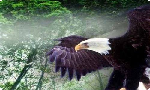 电子的实习报告-资源网