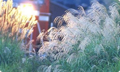 【必备】工程的实习报告范文合集9篇-资源网