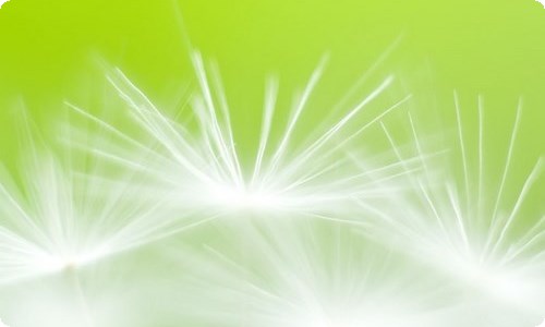 《秋天的雨》教案14篇-资源网