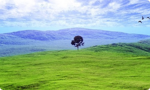 孤独之旅教案-资源网