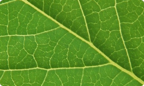 幼儿园教案-资源网