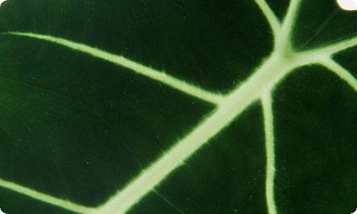 银行自我评价-资源网