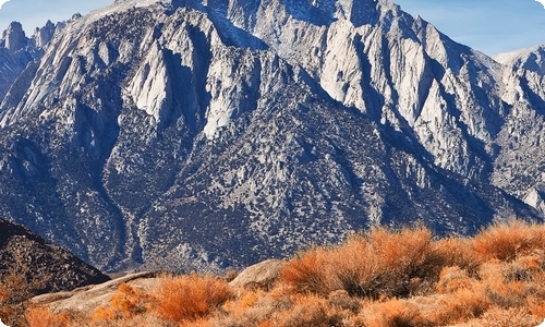小学语文教案-资源网