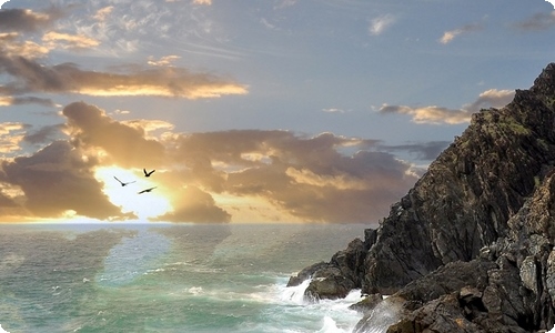 高一下学期综合素质自我评价-资源网