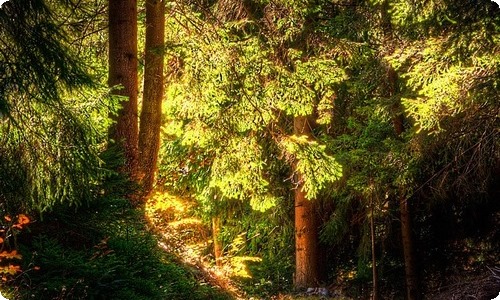 团员教育评议表自我评价-资源网