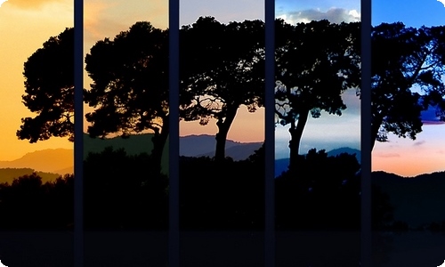 《影子的秘密》大班科学活动教案-资源网