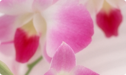 高三地理教学心得-资源网