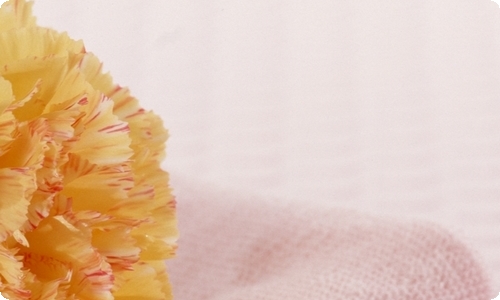 大学生自我评价范文