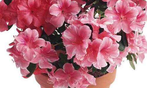 财务类的实习报告-资源网