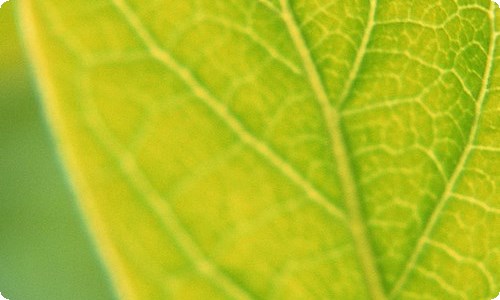 实用的中班美术教案4篇-资源网