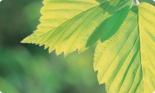 设计类的实习报告-资源网