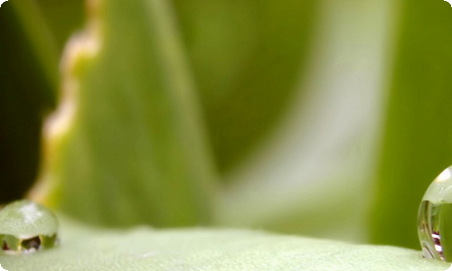 幼儿园中班语言教案-资源网