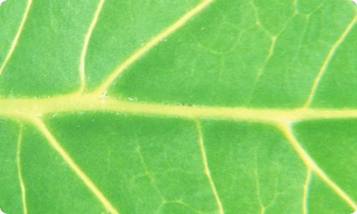 关于科学活动教案汇总8篇-资源网