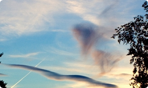 在企业的实习报告-资源网