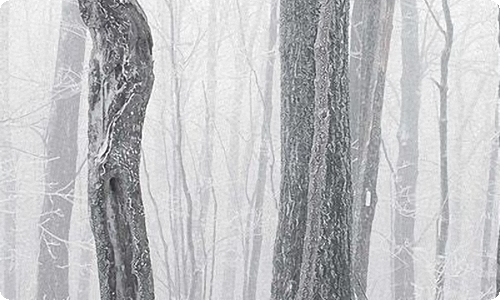 爱莲说教案-资源网