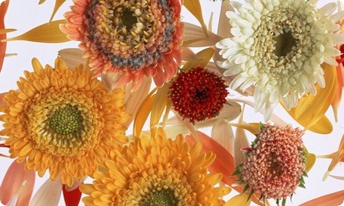 毕业的实习报告-资源网