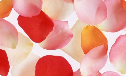 大班社会教案：环保小卫士-资源网