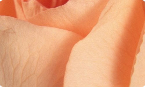 小班数学教案-资源网