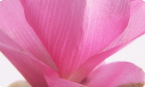 毕业生自我鉴定集合15篇-资源网