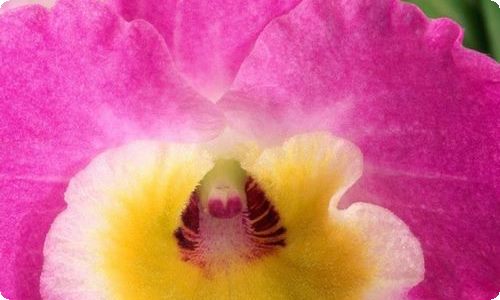 银行实习报告-资源网