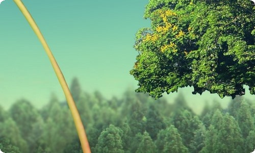 语文教学心得体会-资源网