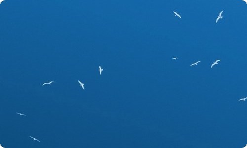 大班数学教案通用15篇-资源网