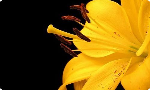 大班幼儿园立夏教案-资源网